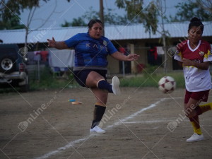 DSC03903