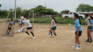 DSC04342