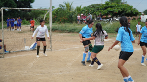 DSC04379