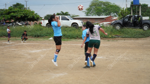 DSC04395