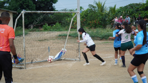 DSC04409