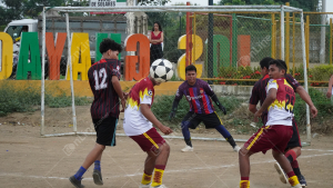 DSC04809