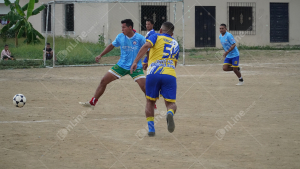 DSC04956