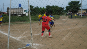 DSC05218