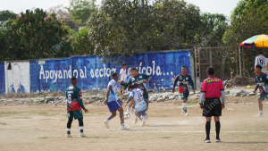 DSC01774