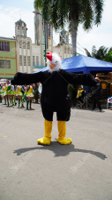 DSC06709