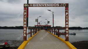 DSC06097