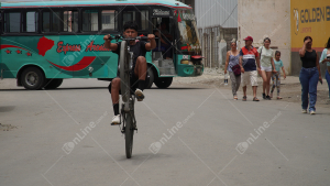 DSC06113