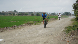 DSC01484