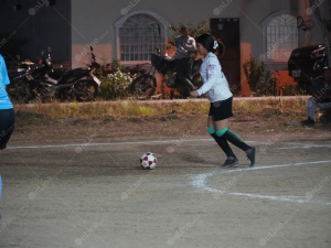 DSC03239